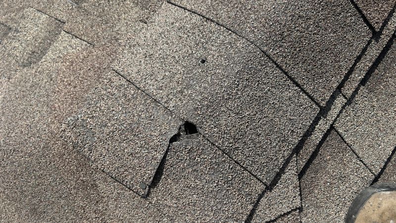 Roof Shingles Repair